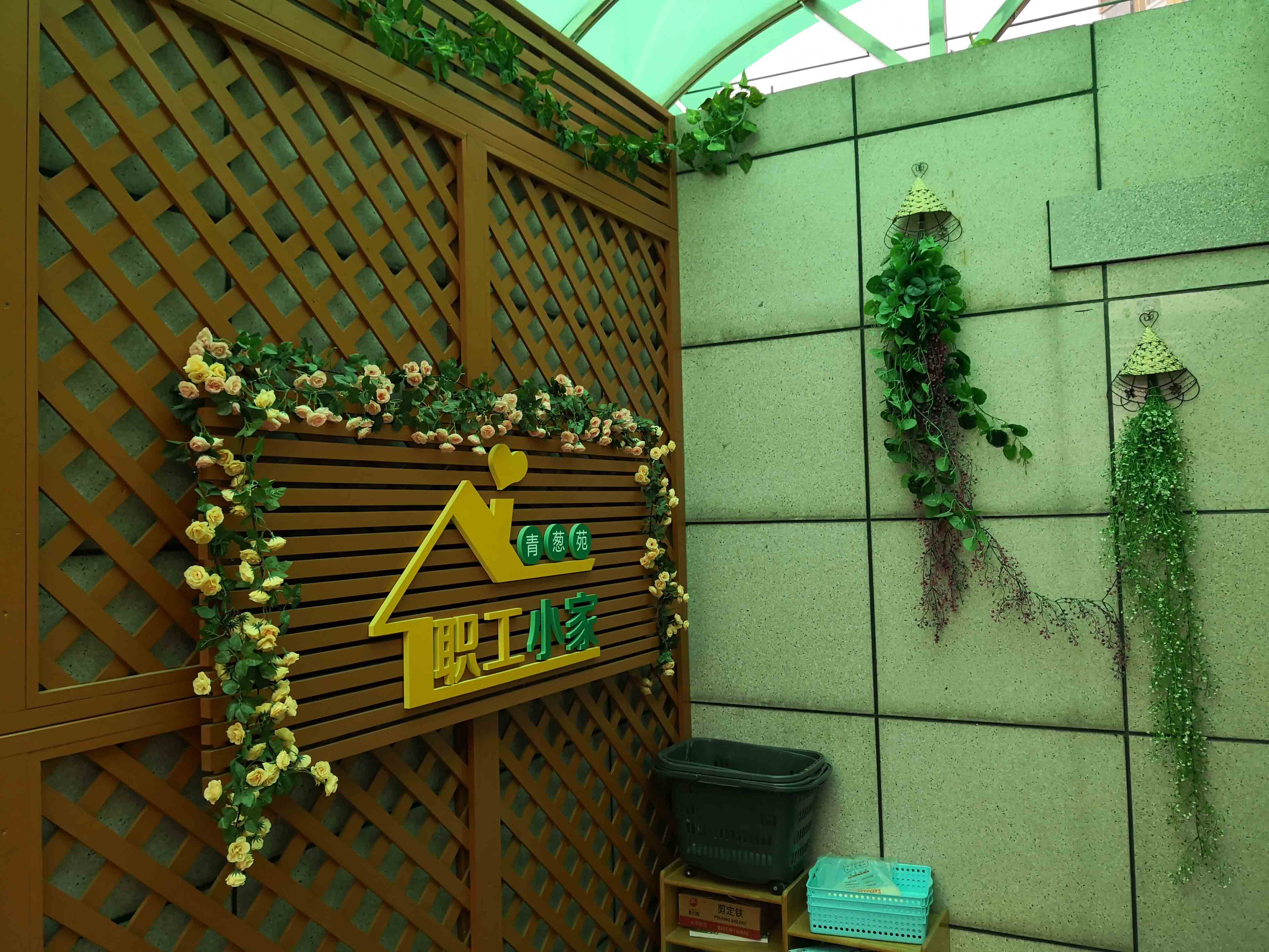 电力发展公司天空农场